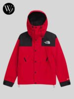 The North Face Mountain Jacket