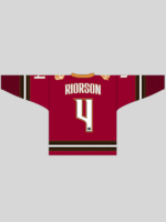 Avalanche Fourth Wing Jersey Red