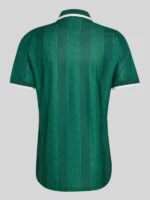 FIFA World Cup 2026 South Africa Jersey Green
