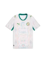 Senegal World Cup Jersey 2026