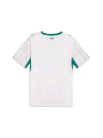 World Cup Senegal Soccer Jersey 2026
