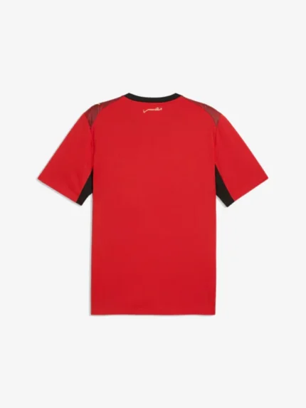 egypt world cup jersey