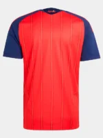 Adidas spain authentic jersey