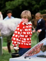 Warm & Wonderful Princess Diana's black-sheep Red sweater