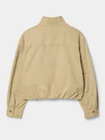 Aritzia Ferris Jacket